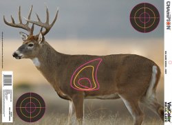 Champion Visicolor Real Life - Deer