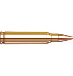 Hornady Frontier® Ammunition 223 REM 55 gr HP Match™